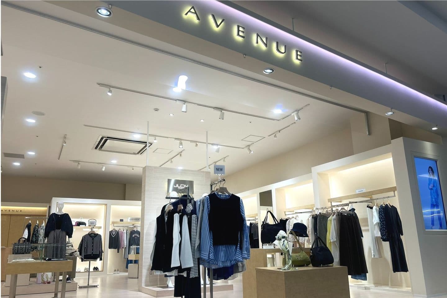 AVENUE写真