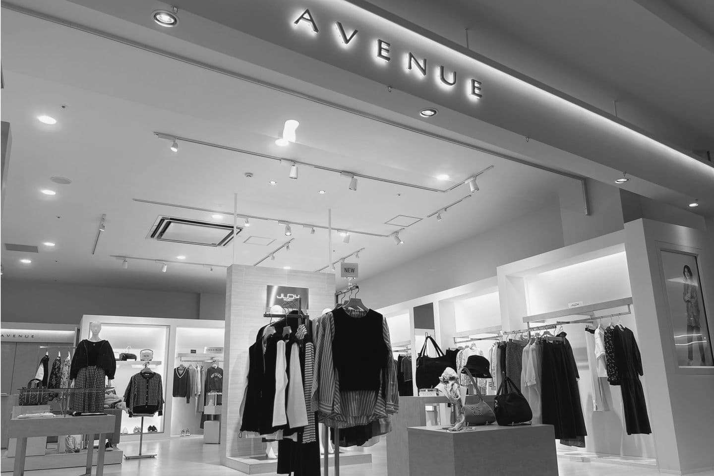 AVENUE店舗写真